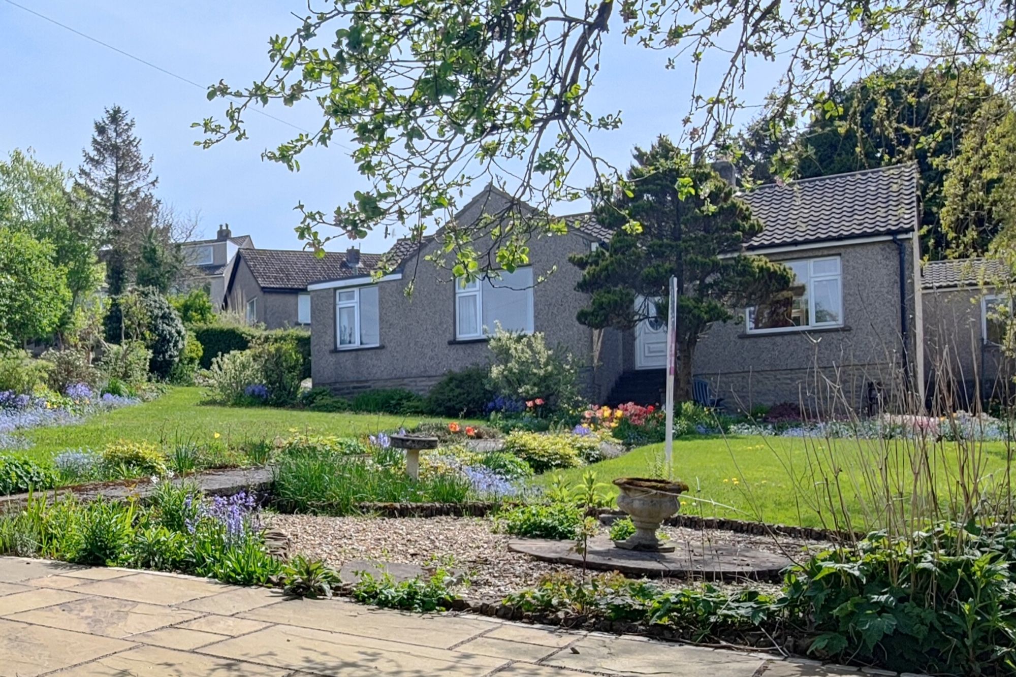 Ash Meadow Road Image