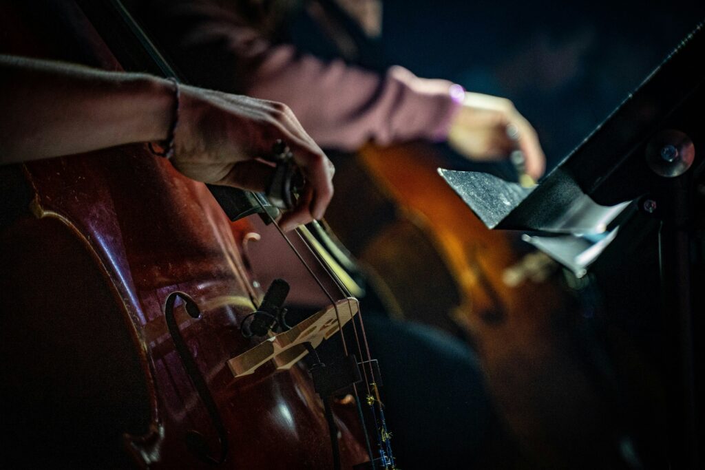 Experience Enchanting Music with Haffner Orchestra