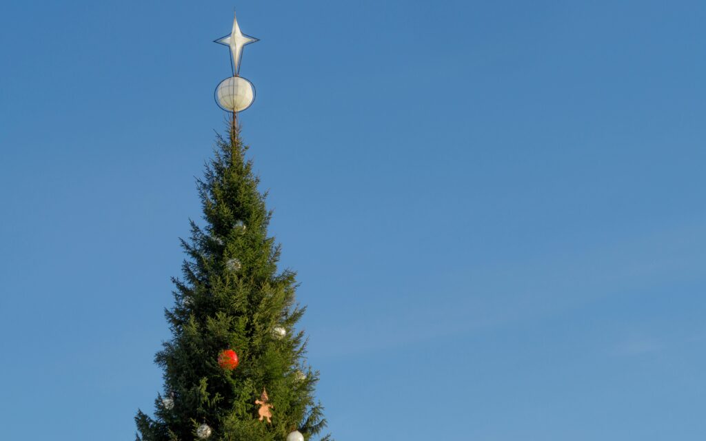 Lancaster Church Hosts Christmas Tree Festival